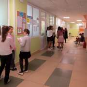Акция «Спасем лис». Создадим на о. Русский природный парк!