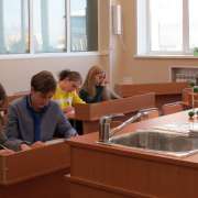 Акция «Спасем лис». Создадим на о. Русский природный парк!