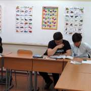Акция «Спасем лис». Создадим на о. Русский природный парк!
