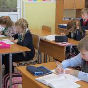 Акция «Спасем лис». Создадим на о. Русский природный парк!