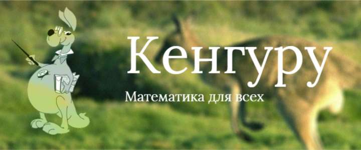 Подведены итоги математического конкурса-игры «Кенгуру – 2016»