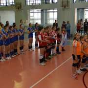 Volleyball open cup of International Linguistic School стартовал 2 июня в МЛШ