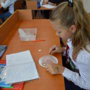 Эксперимент для пятиклашек: сколько капель на монетке?