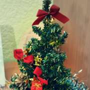 We wish you A Merry Christmas and A Happy New Year!