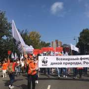 Усатый-полосатый День тигра отпраздновали ученики Международной лингвистической школы