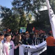 Усатый-полосатый День тигра отпраздновали ученики Международной лингвистической школы
