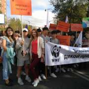 Усатый-полосатый День тигра отпраздновали ученики Международной лингвистической школы