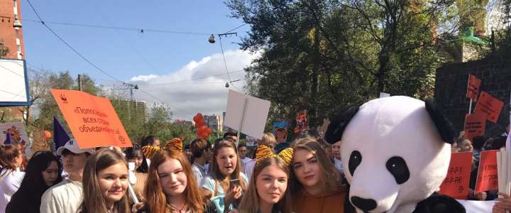 Усатый-полосатый День тигра отпраздновали ученики Международной лингвистической школы