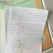 Развитие творческих способностей на уроках русского языка – это не миф, считают в Международной лингвистической школе 