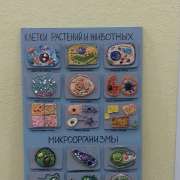 Ученики Международной лингвистической школы изготовили из керамики наглядные пособия по биологии