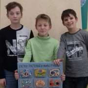 Ученики Международной лингвистической школы изготовили из керамики наглядные пособия по биологии