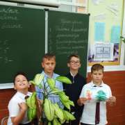 «Сыр выпал — с ним была плутовка такова»: пятиклассники МЛШ изучают басни