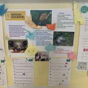  Ученики 5-9 классов МЛШ завершили работу над ежегодным проектом International Literacy Day
