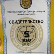 Ученики МЛШ лучшие в горнолыжном спорте и дзюдо 