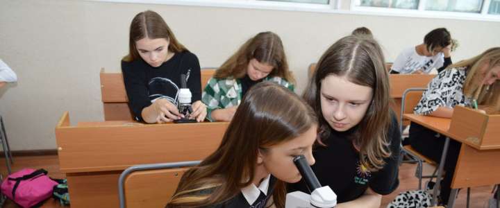 Шестиклассники МЛШ: мы специально дома проращивали фасоль, чтобы сравнить ее на уроке с пшеницей  