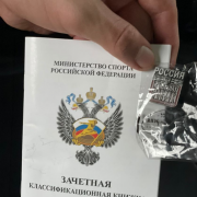 Предновогодняя неделя у учеников МЛШ проходит под знаком спорта: ребята проводят время на катке, а также завоевывают спортивные звания