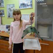 Ученики Международной лингвистической школы начали приносить первые кормушки для птиц национального парка «Земля леопарда»