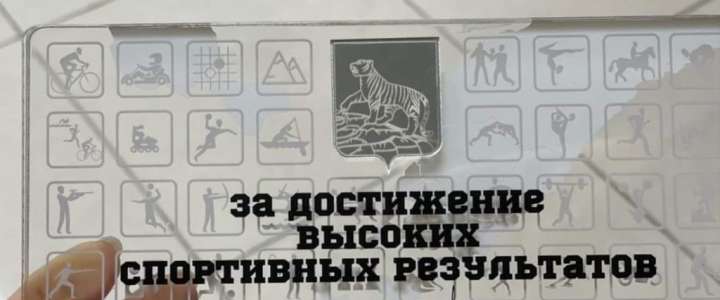 Мэр Владивостока вручил награды «За достижение высоких спортивных результатов» ученикам 8 классов МЛШ Никите Сукач и Ярославу Назарову 