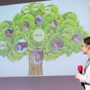 Ученики 9 классов Международной лингвистической школы успешно защитили проектные и исследовательские работы 