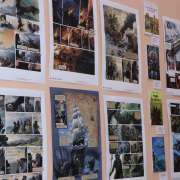 «Жюль Верн и la Bande dessinée»: совместный проект МЛШ, Альянс Франсез-Владивосток и галереи "Арка"