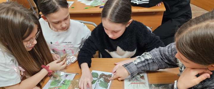Сотрудники Ботанического сада-института ДВО РАН встретились с учениками начальных классов МЛШ и рассказали, какие растения помогали людям выживать в военное время 